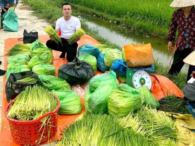 Đòng đòng nếp được săn lùng, dân buôn bán ngày 3 tạ, thu vài chục triệu đồng