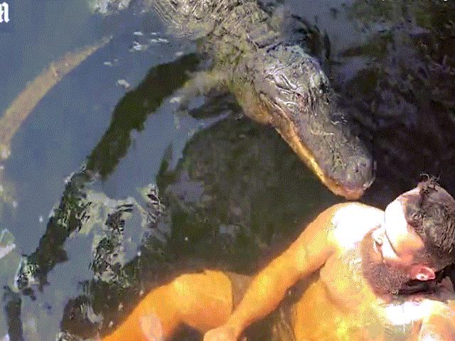 Bơi cùng ”bạn thân” là cá sấu rồi bị ngoạm trúng vai, người đàn ông lên bờ nói điều sốc