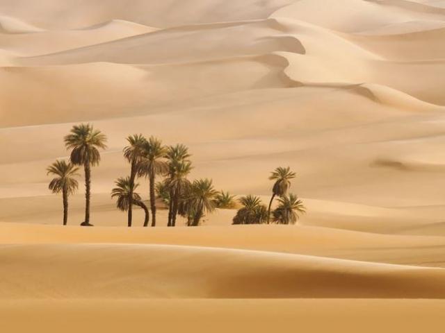 Hóa ra sa mạc Sahara không phải hoang mạc lớn nhất thế giới mà là nơi không một hạt cát này
