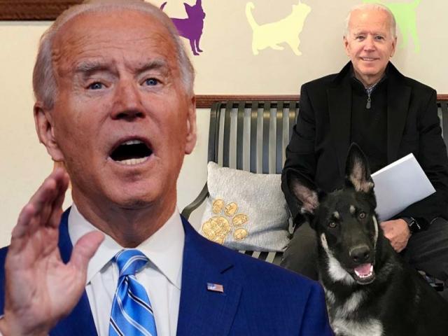 ”Thủ phạm” khiến ông Biden bị rạn xương chân sẽ có vai trò quan trọng ở Nhà Trắng