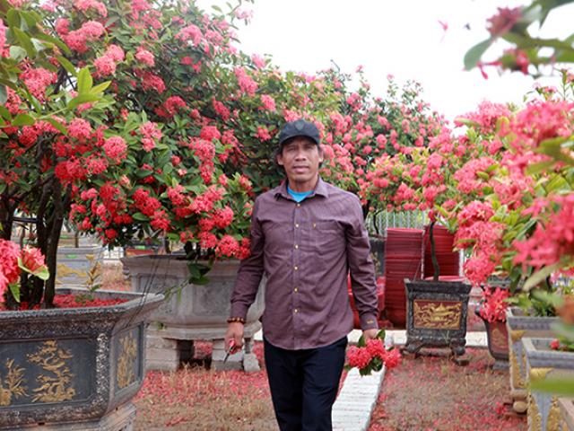 Từ nông dân trở thành “ông vua” hoa mẫu đơn Việt Nam