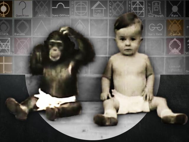 Mỹ: Nhà tâm lý học làm thí nghiệm quái dị với con đẻ và tinh tinh