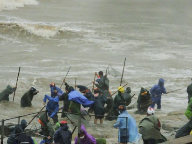 Hàng tấn sò mai theo sóng dạt vào bờ, người dân kéo nhau đi vợt kiếm bạc triệu