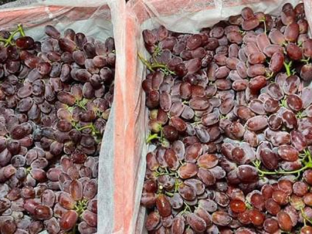 Sự thật về loại nho không hạt, siêu ngọt, siêu giòn và chỉ hơn 30.000 đồng/kg đang gây sốt tại Việt Nam