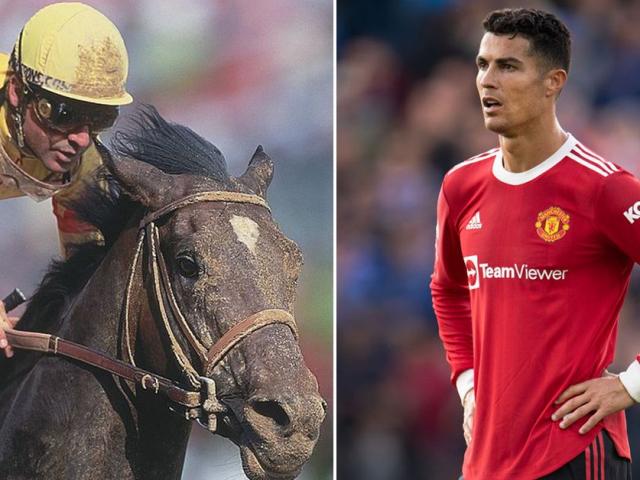 ”Vận động viên” đắt nhất hành tinh ở môn thi đặc biệt: Gấp đôi tiền mua Ronaldo