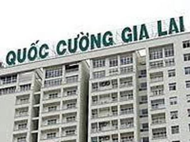 Vì sao không xử lý hình sự Tổng giám đốc Quốc Cường Gia Lai vụ mua rẻ 32 ha đất công?