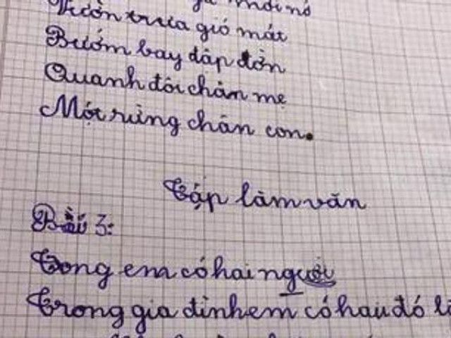 Viết văn tả chị gái, cô bé 6 tuổi có pha bẻ lái ngoạn mục khiến cộng đồng mạng bật cười