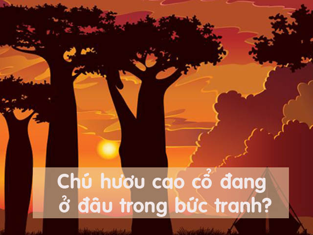 7 bài quiz tinh mắt giúp bạn rèn sự nhanh nhạy