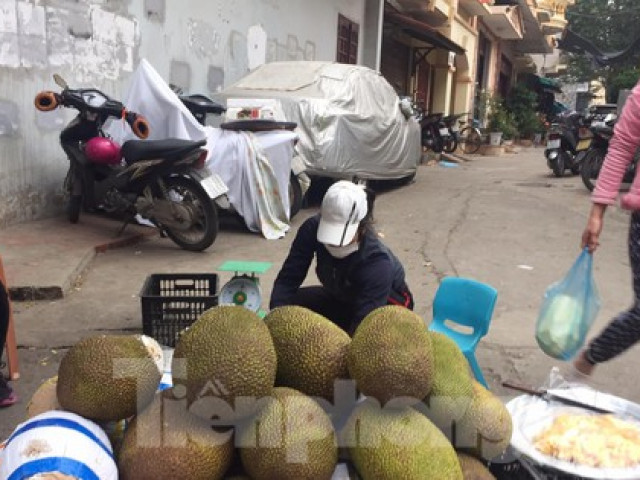 Lạng Sơn: Xót xa cảnh trái cây xuất khẩu ''quay đầu'' rớt giá