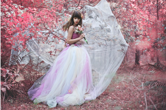 Photo: ..