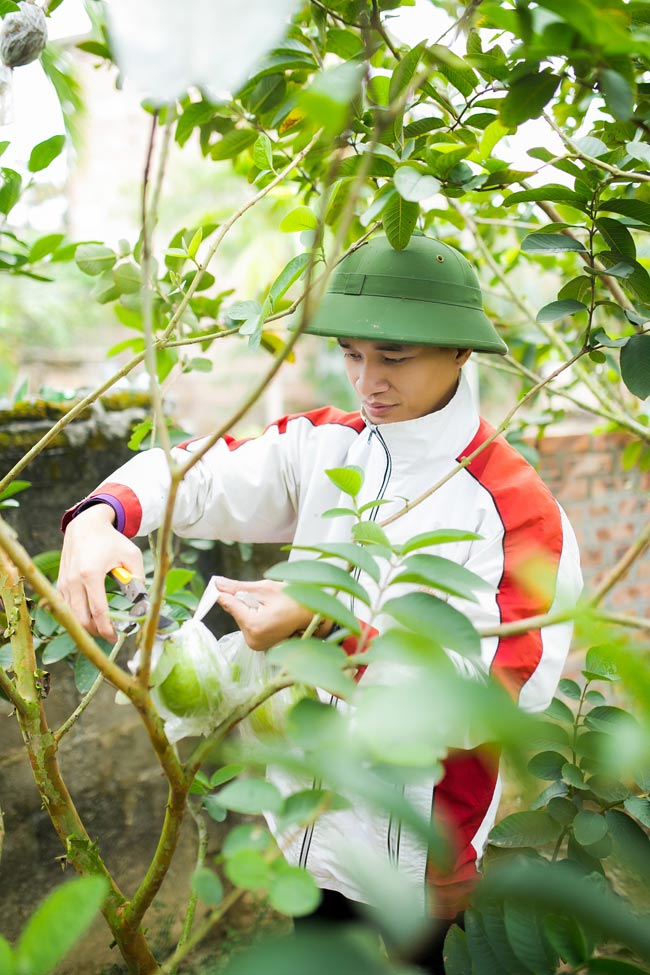 Anh làm từng việc một cách thành thạo như một người nông dân thực thụ.&nbsp;