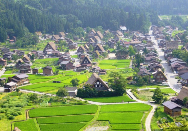 Làng cổ Shirakawa-go nằm ở chân núi Haku-san ở tỉnh Gifu, Nhật Bản. Nơi đây hiện có 114 ngôi nhà được xây dựng cách đây hơn 200 năm theo phong cách kiến trúc gassho zukuri ở thời kỳ Edo.