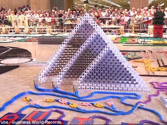 Kỉ lục thế giới mới với 250.000 viên domino đổ đồng loạt