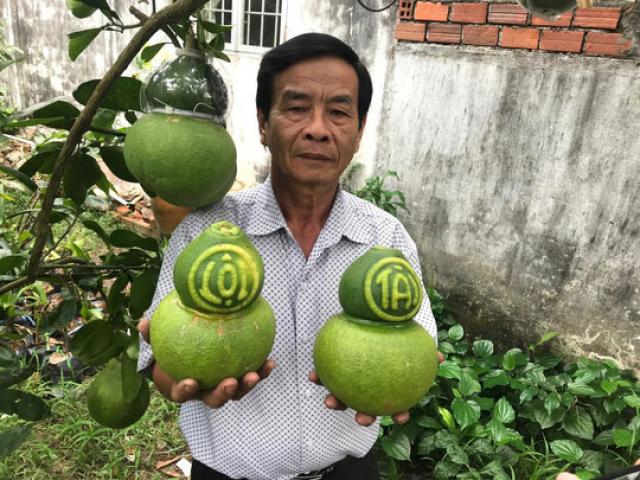 Thị trường - Tiêu dùng - Trái cây "độc", lạ sẵn sàng đón Tết