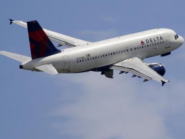 Phi thường - kỳ quặc - Chim đột nhập buồng lái, máy bay quay đầu hạ cánh