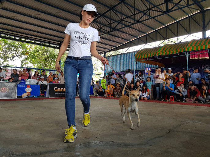 Đầu năm, chiêm ngưỡng dàn chó đẹp "khoe hình thể" - 14