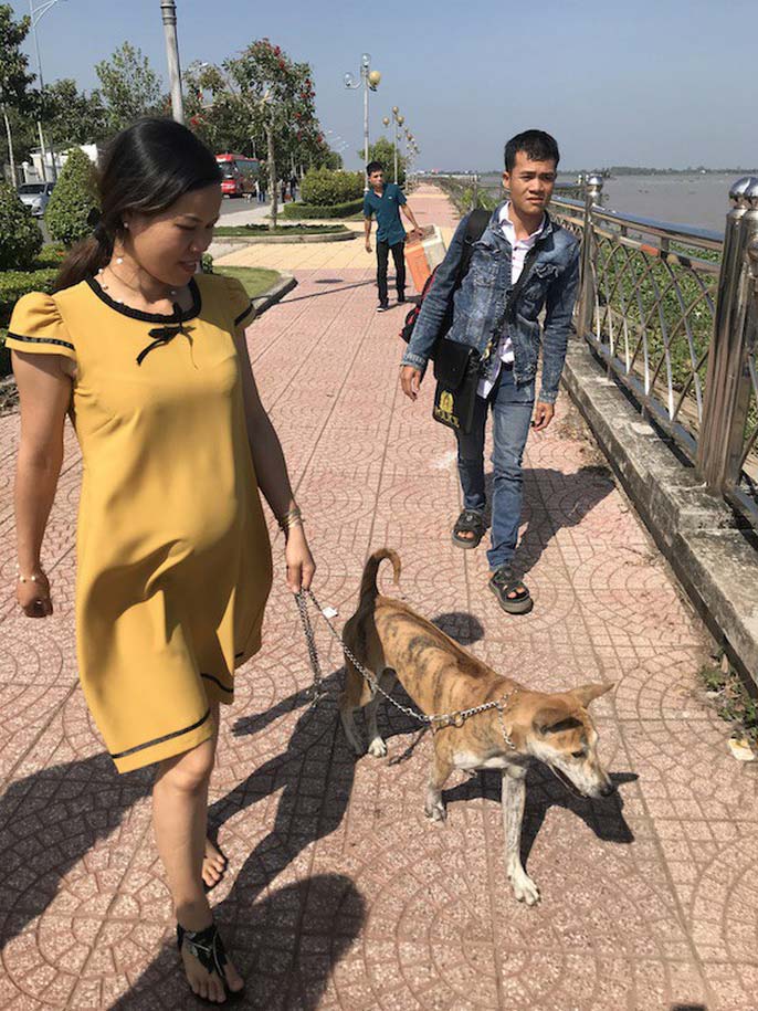 Đầu năm, chiêm ngưỡng dàn chó đẹp "khoe hình thể" - 15