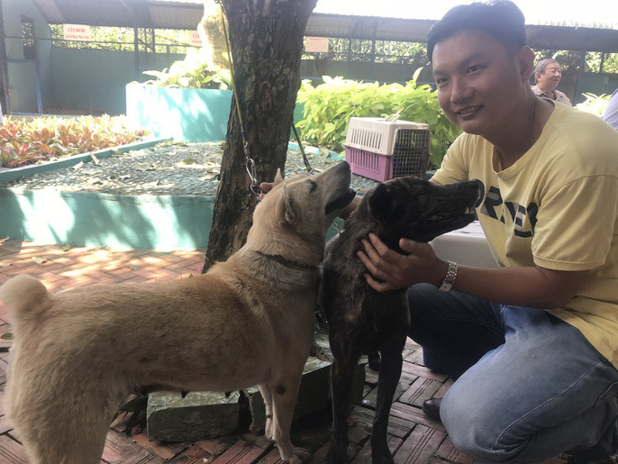 Đầu năm, chiêm ngưỡng dàn chó đẹp "khoe hình thể" - 2