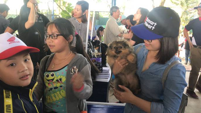 Đầu năm, chiêm ngưỡng dàn chó đẹp "khoe hình thể" - 5