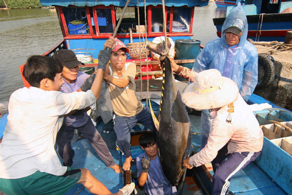 Để kinh tế Việt Nam không bị “lỡ tàu 4.0” - 1