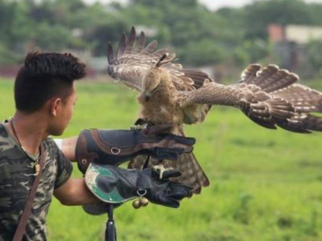 Tin tức trong ngày - Chơi Tết với… "chúa tể bầu trời"