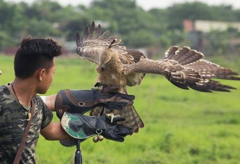 Chơi Tết với… "chúa tể bầu trời" - 2