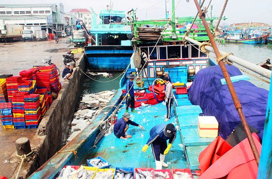 Đầu năm, ngư dân Bình Định trúng đậm cá ngừ sọc dưa thu về tiền tỷ - 1