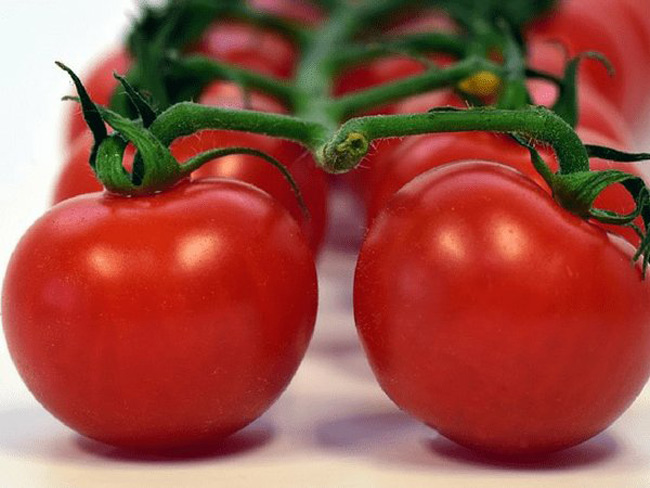 7. Cà chua rất dễ bị hỏng nếu để ở nhiệt độ thường trong thời gian dài, đây chính là nguyên nhân gây ngộ độc thực phẩm. Rửa sạch với nước và nấu chín thay vì ăn sống là cách tốt nhất để tránh nguy cơ ngộ độc từ thực phẩm này.