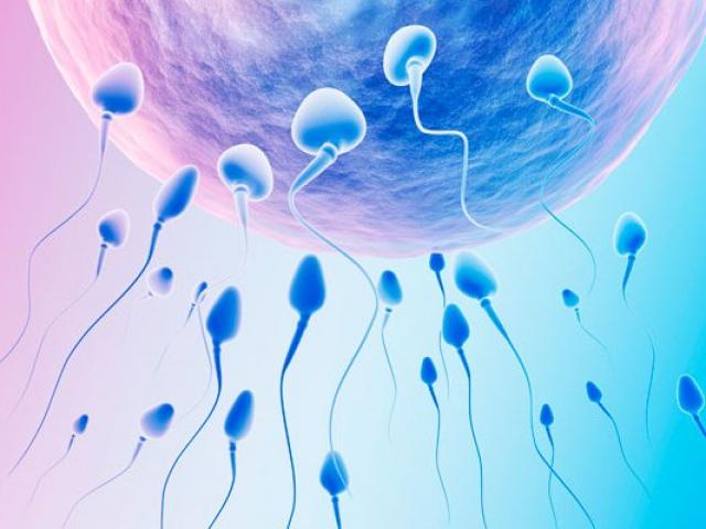 Sức khỏe đời sống - Quý ông ăn gì để tăng số lượng "tinh binh"?