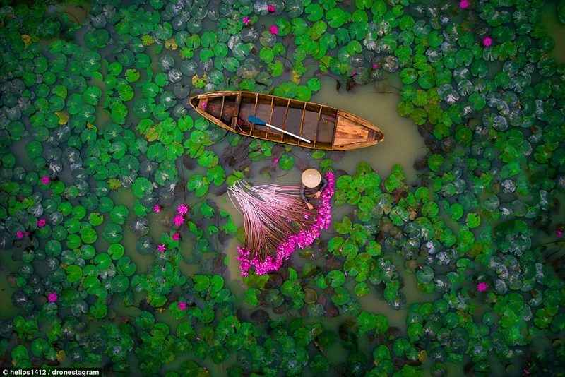 Cảnh đẹp Việt Nam thắng giải thi ảnh quốc tế - 1
