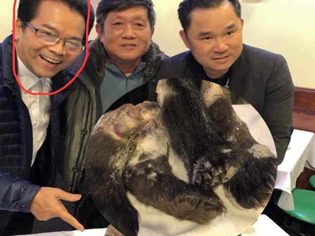 Đời sống Showbiz - Diễn viên "Người phán xử" bị chỉ trích vì chụp ảnh với tay gấu