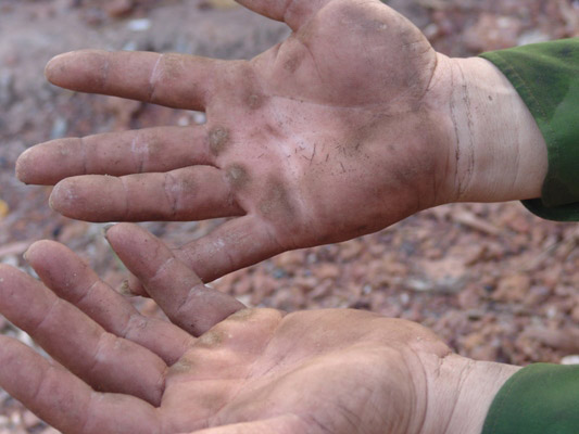 Những "nghệ nhân" bứng mai Tết kiếm tiền triệu mỗi ngày ở Sài Gòn - 7