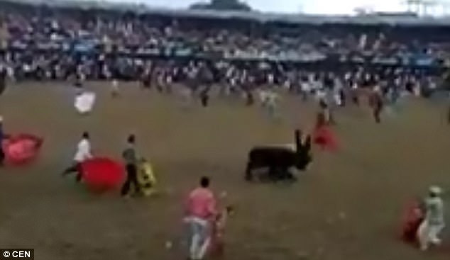Colombia: Trêu bò tót, bị húc cực mạnh chết tại trận - 1