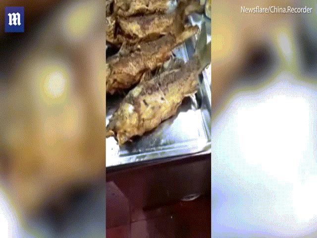 Phi thường - kỳ quặc - Cá bị chiên chín vàng vẫn giãy giụa trên đĩa