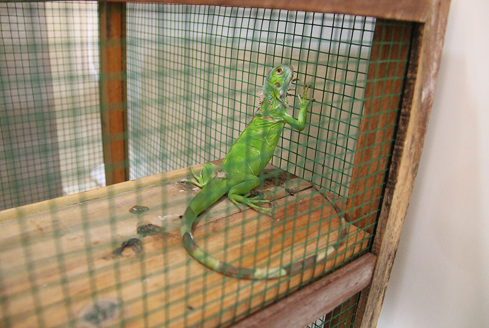 "Vua nhạc sàn" Lương Gia Huy cô đơn trong căn hộ 4 tỷ đồng tại Sài Gòn - 4