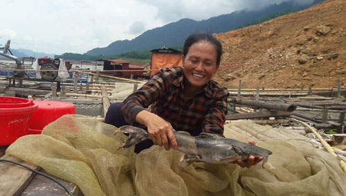 Cá lồng đặc sản sông Đà, xuân nào bán cũng chạy - 2
