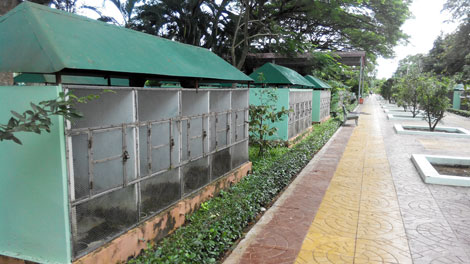 “Vương quốc” rắn bên sông Tiền - 4