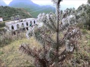 Tin tức trong ngày - Cảnh băng giá tuyệt đẹp phủ kín đỉnh đèo Ô Quy Hồ
