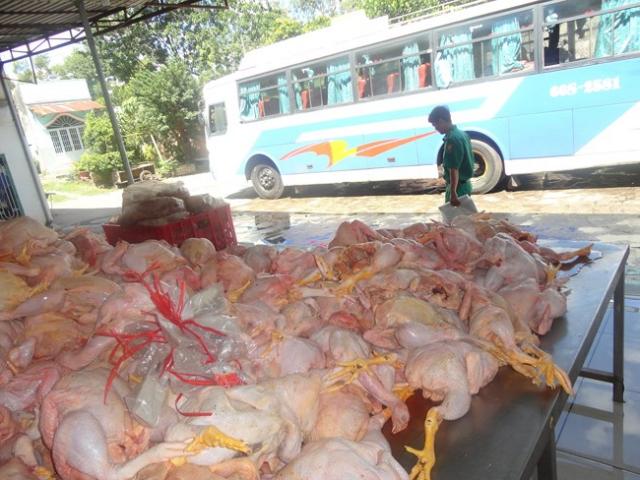 Thị trường - Tiêu dùng - Gần tết: Hạt dưa, hướng dương... lậu lại tung hoành