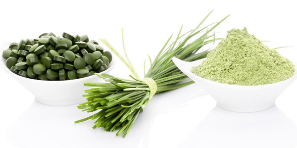 Kế hoạch “hoàn hảo” cho người gầy muốn tăng cân - 2