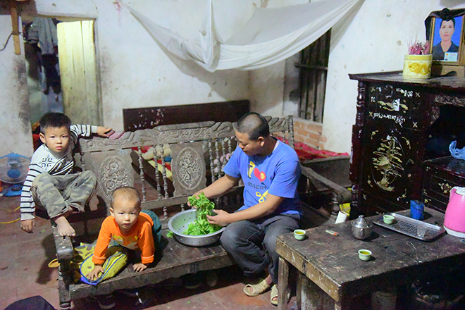 MS1804 - Rớt nước mắt cảnh gà trống lầm lũi nuôi 8 con thơ - 3