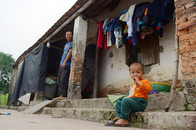 MS1804 - Rớt nước mắt cảnh gà trống lầm lũi nuôi 8 con thơ - 1