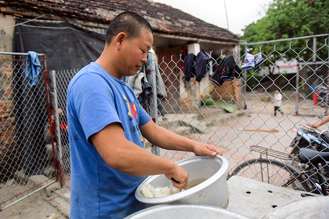 MS1804 - Rớt nước mắt cảnh gà trống lầm lũi nuôi 8 con thơ - 5