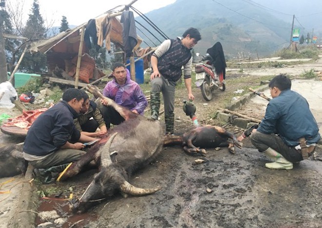 Nóng 24h qua: Chủ nhân cải tiến “Tiếw Việt” bất ngờ tung Truyện Kiều cải biên - 3