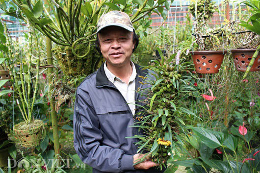 "Lạc" vào vườn phong lan đặc hữu độc, lạ của lão nông Đà Lạt - 5