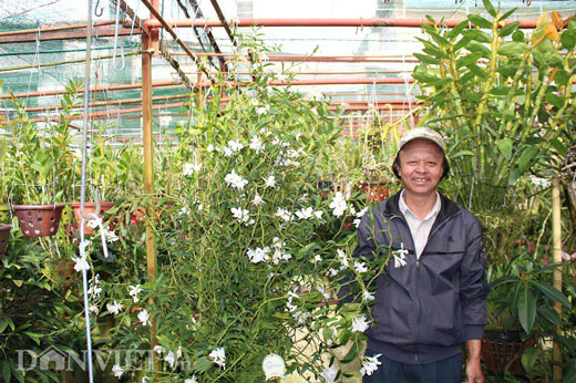 "Lạc" vào vườn phong lan đặc hữu độc, lạ của lão nông Đà Lạt - 8