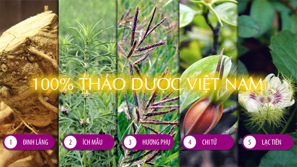 Bị mất ngủ uống gì hiệu quả? - 3