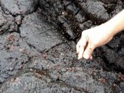 Thị trường - Tiêu dùng - Rét căm căm, dân vẫn đội sóng hái rau đặc sản chỉ mọc vào mùa đông