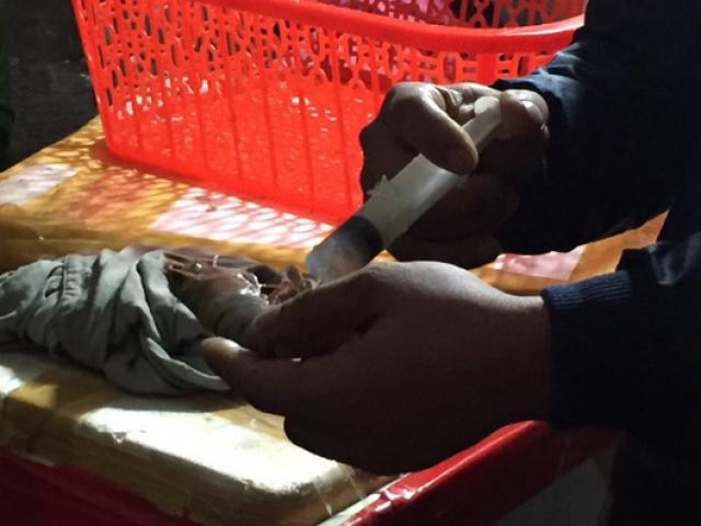 Thị trường - Tiêu dùng - Bắt quả tang cơ sở đang bơm "chất lạ" vào tôm