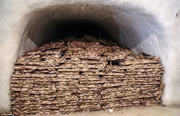 Hầm băng cực lớn Liên Xô đào ở Bắc Cực đang tan chảy - 3